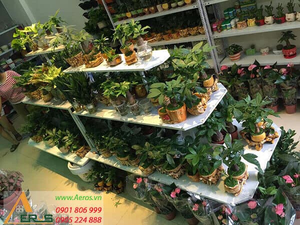 50+ MẪU THiẾT KẾ CỬA HÀNG CÂY CẢNH - CÂY XANH ĐẸP NHẤT