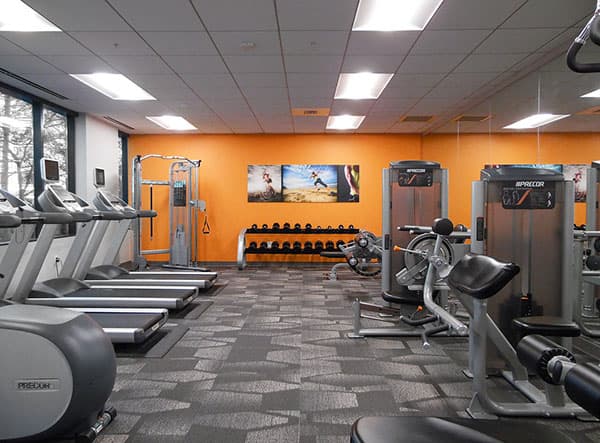 Thiết kế phòng tập Gym độc đáo và chuyên nghiệp thu hút mọi khách hàng